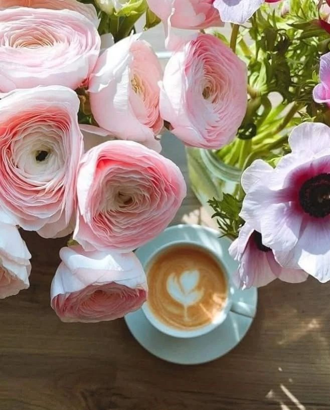 GIF dodany przez Kasia