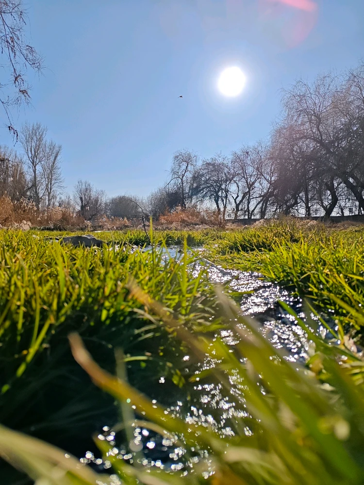 Yvz tarafından yüklenen GIF