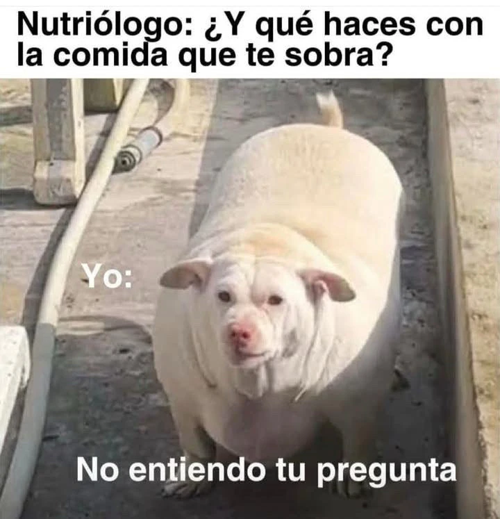 GIF subido por Manuel