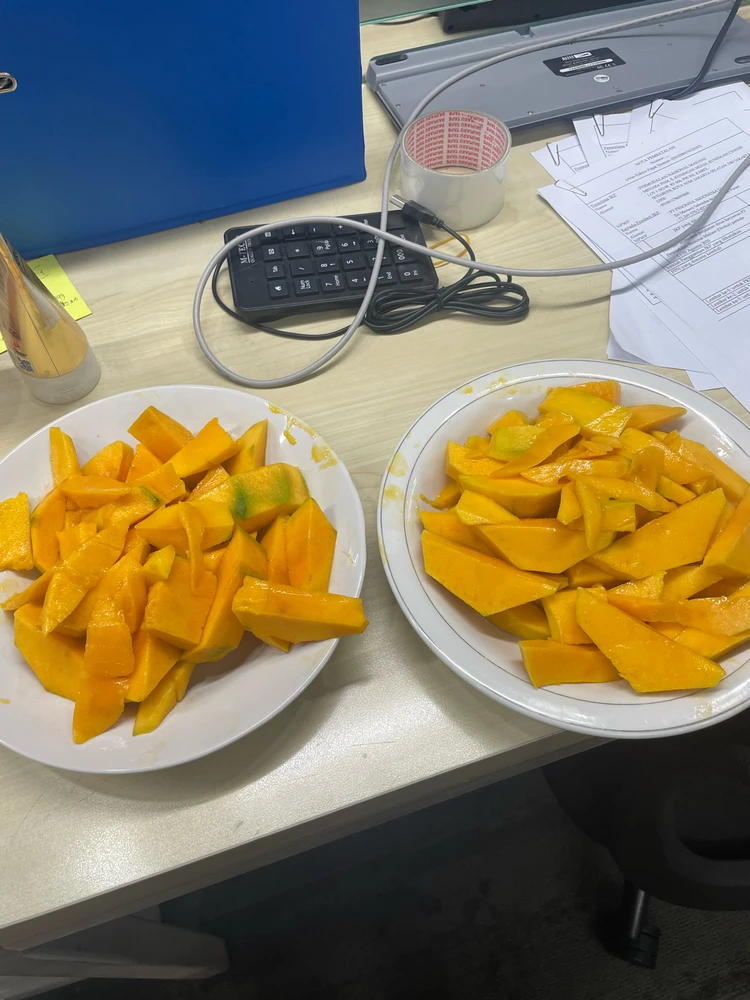 Bek上传的GIF