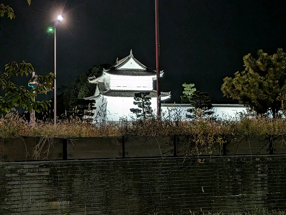 Image uploaded by Andrea