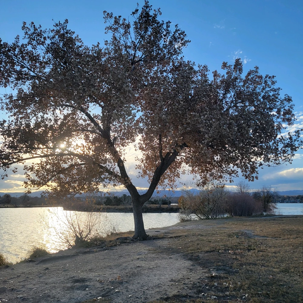 GIF uploaded by Chani