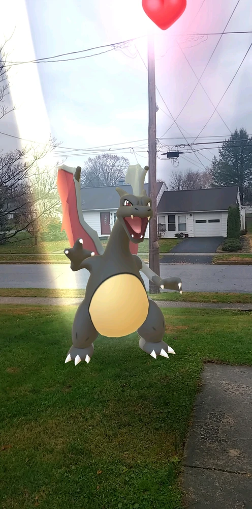 Image uploaded by Silva