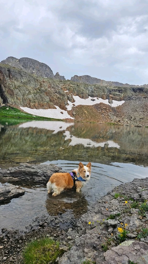 Image uploaded by Inanna