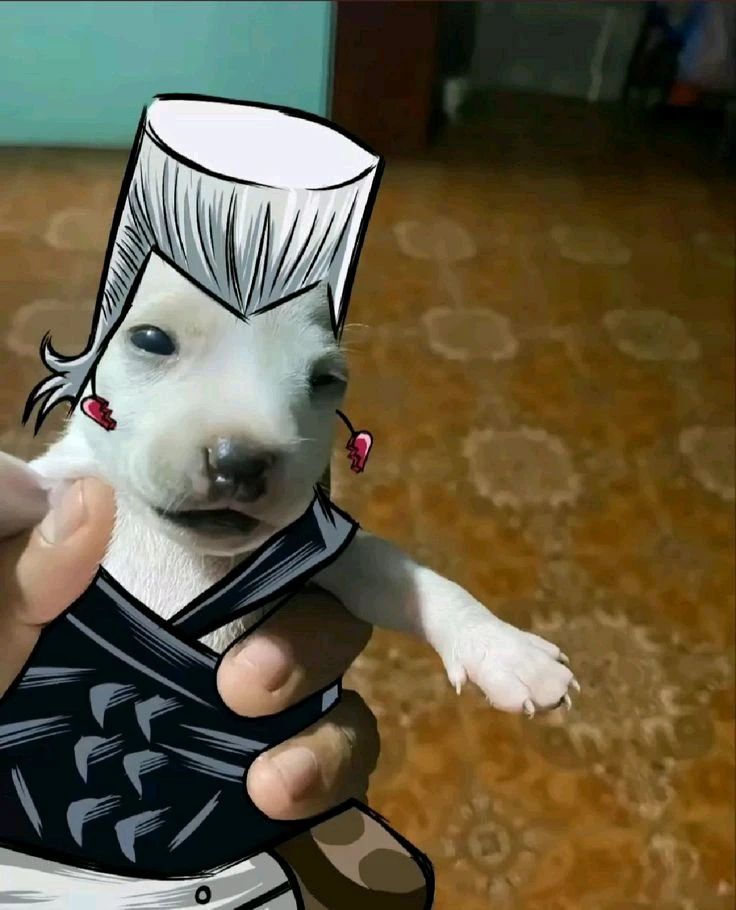 ¿Ustedes prefieren las partes 1 y 2 antes que la 3 en JoJo's?