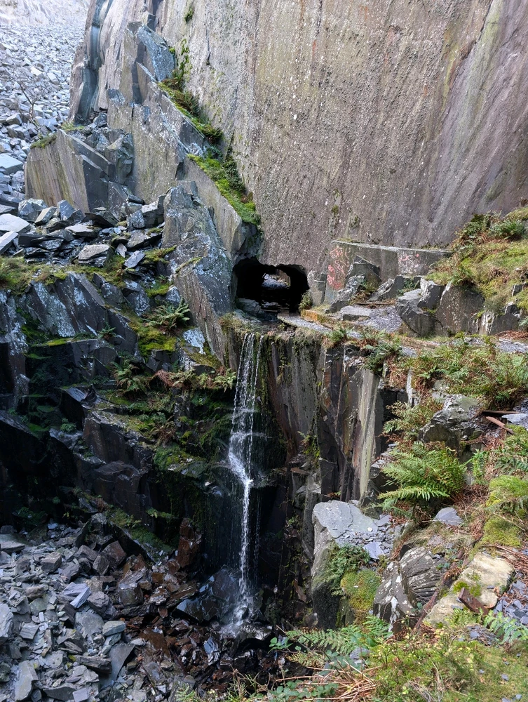 Image uploaded by Andy