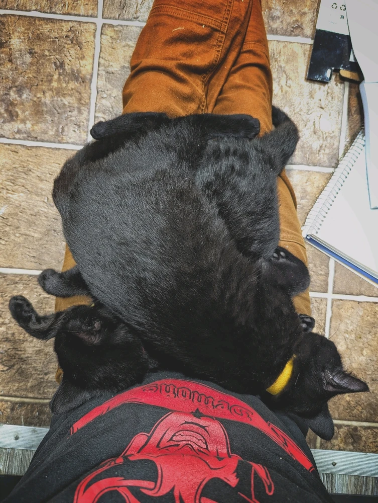 Image uploaded by Eric