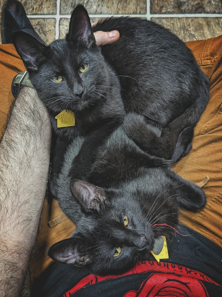 Image uploaded by Eric