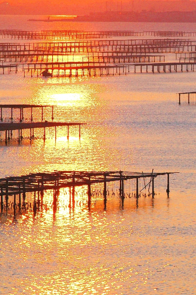 GIF ajouté par Rick