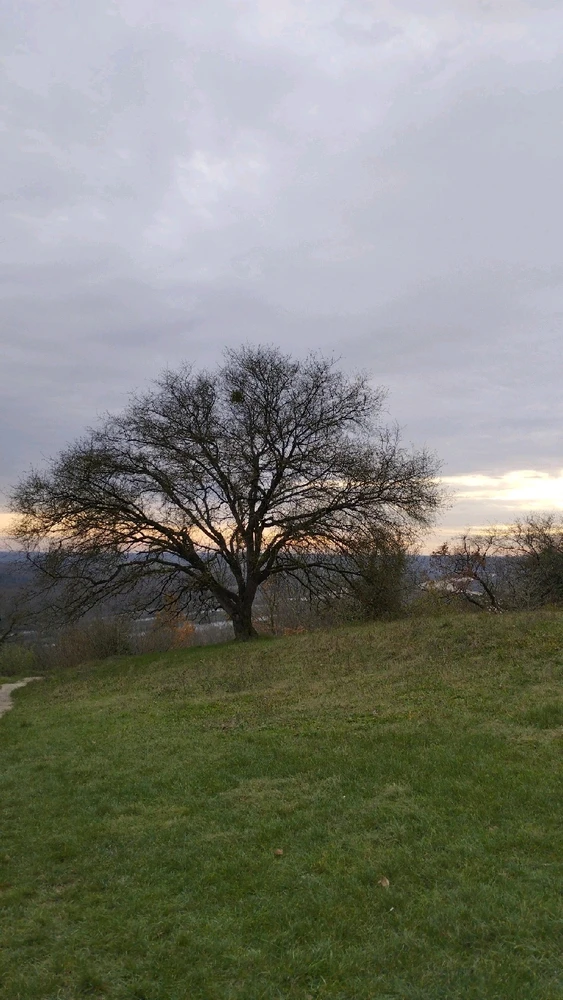 GIF ajouté par Océane 🦋
