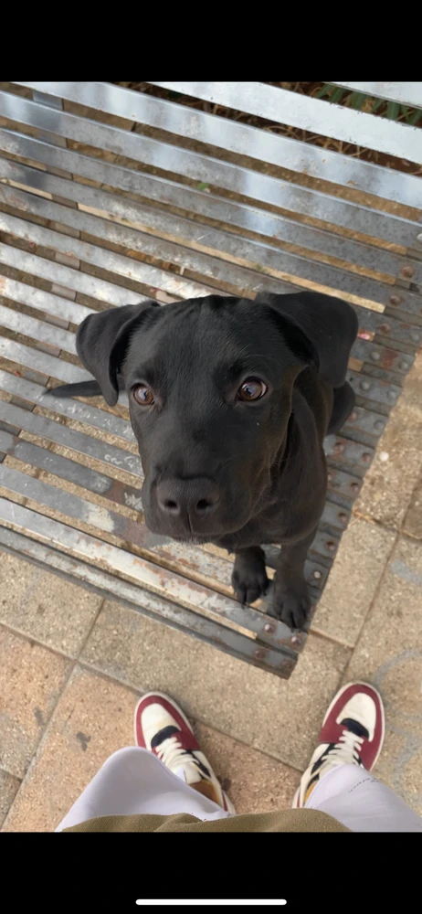 GIF încărcat de Adi