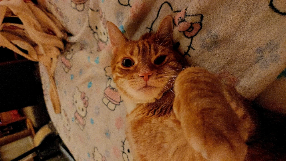 GIF uploaded by Dani