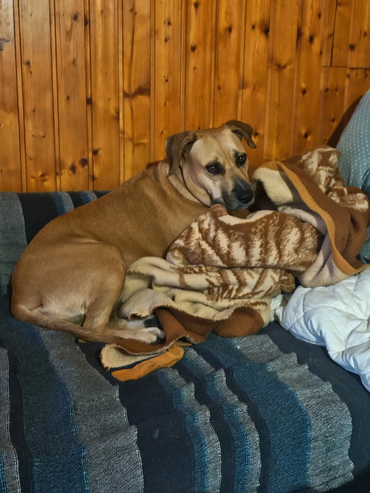 GIF učitao/la Mladen