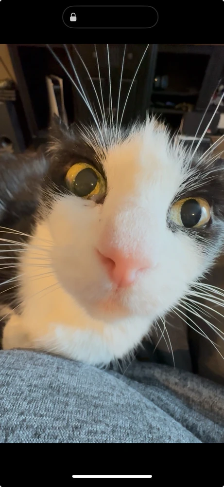 GIF uploaded by David