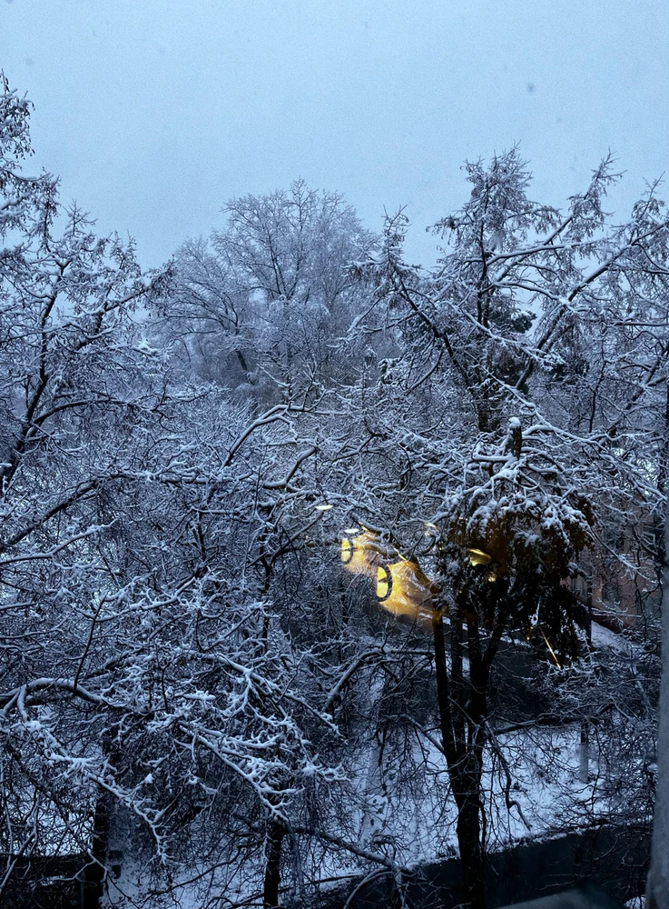 GIF diunggah dening Lyubov