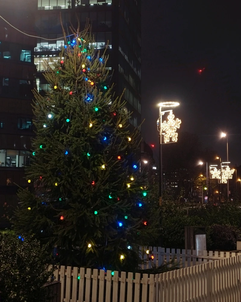 Gambar diunggah dening Palash