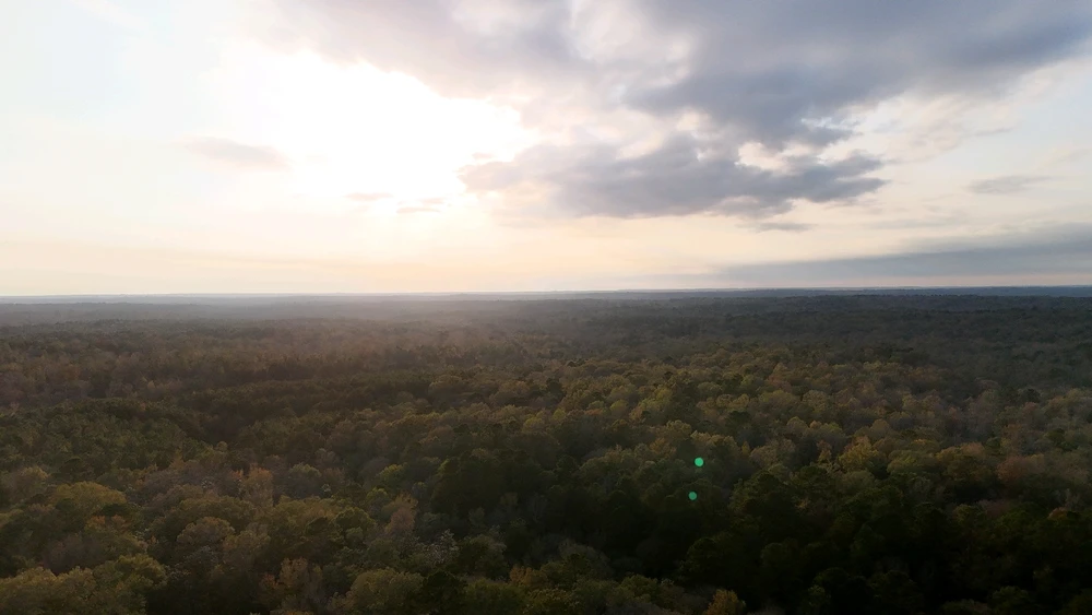 Image uploaded by Tylor