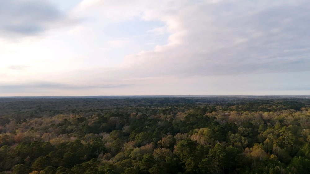 Image uploaded by Tylor