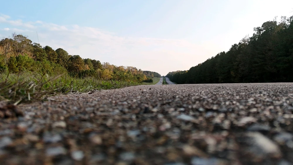 Image uploaded by Tylor