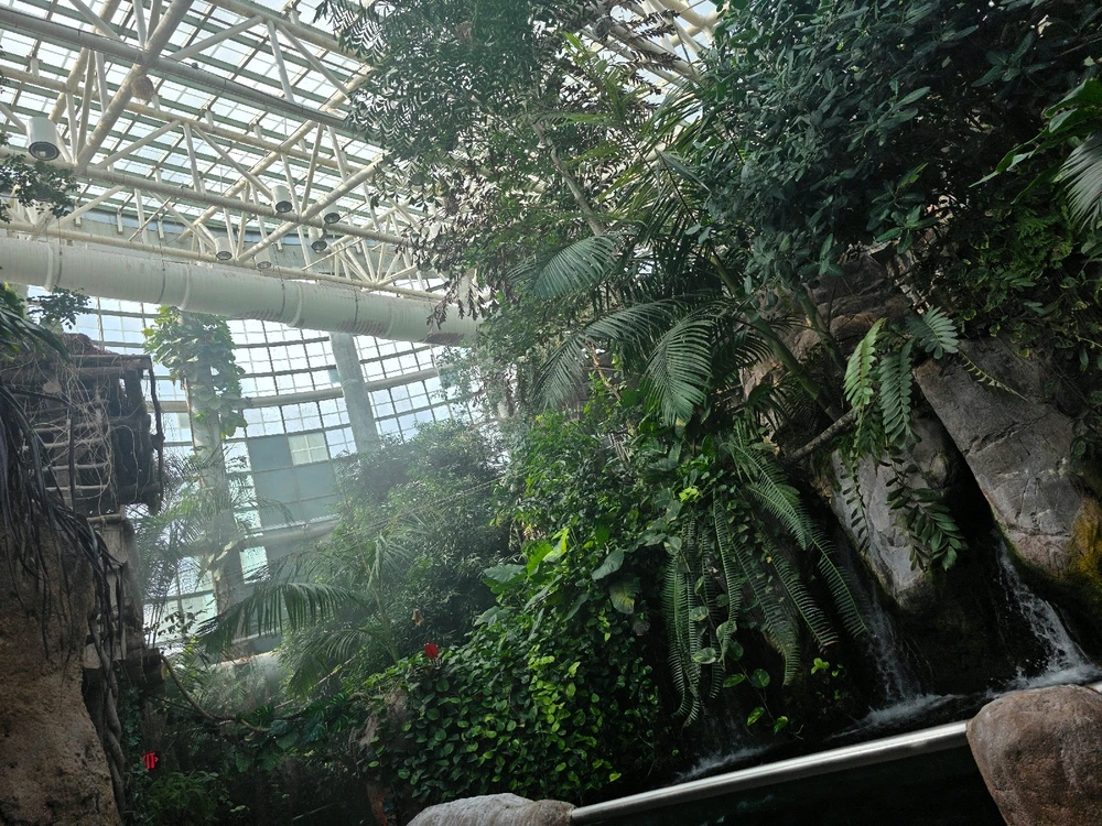 Image uploaded by Tylor