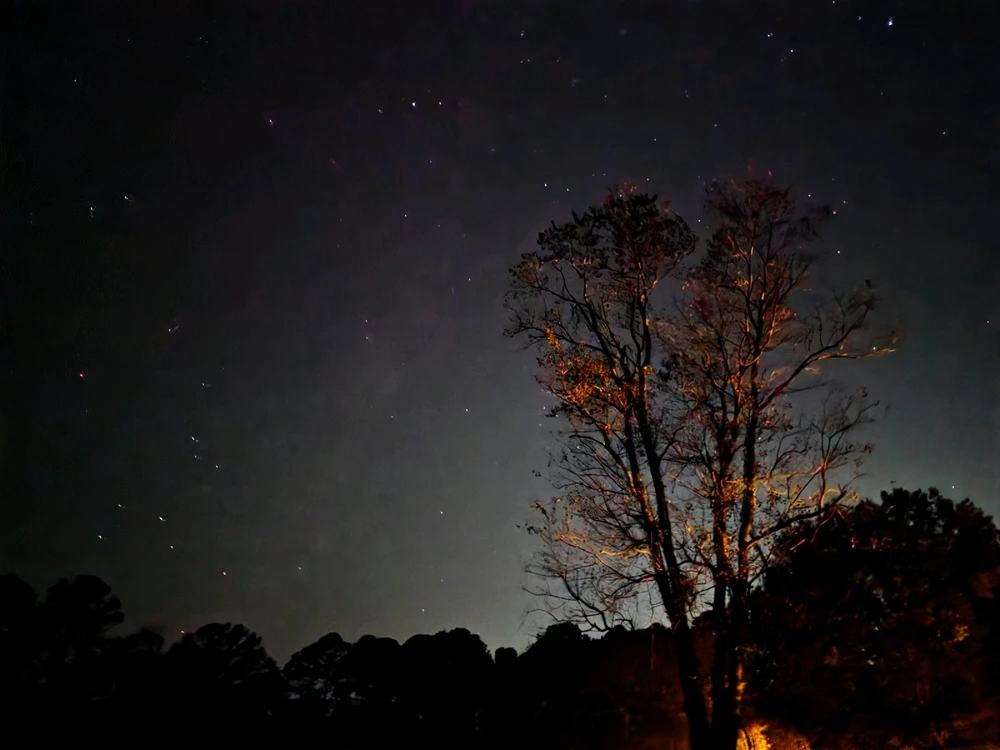 Image uploaded by Tylor