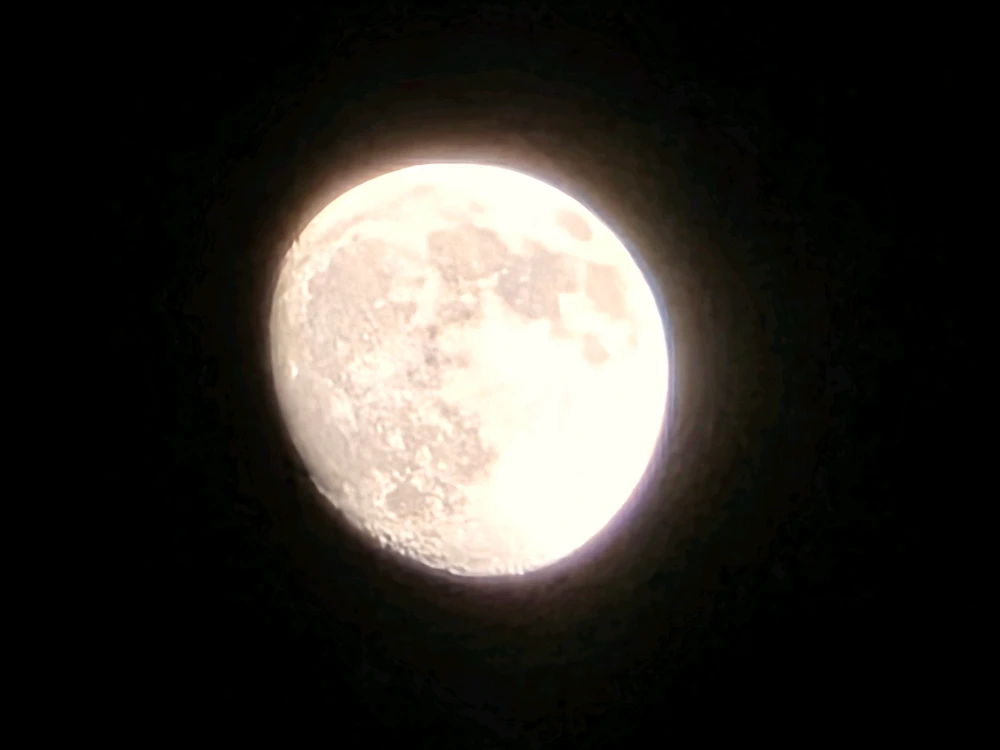 Image uploaded by Tylor