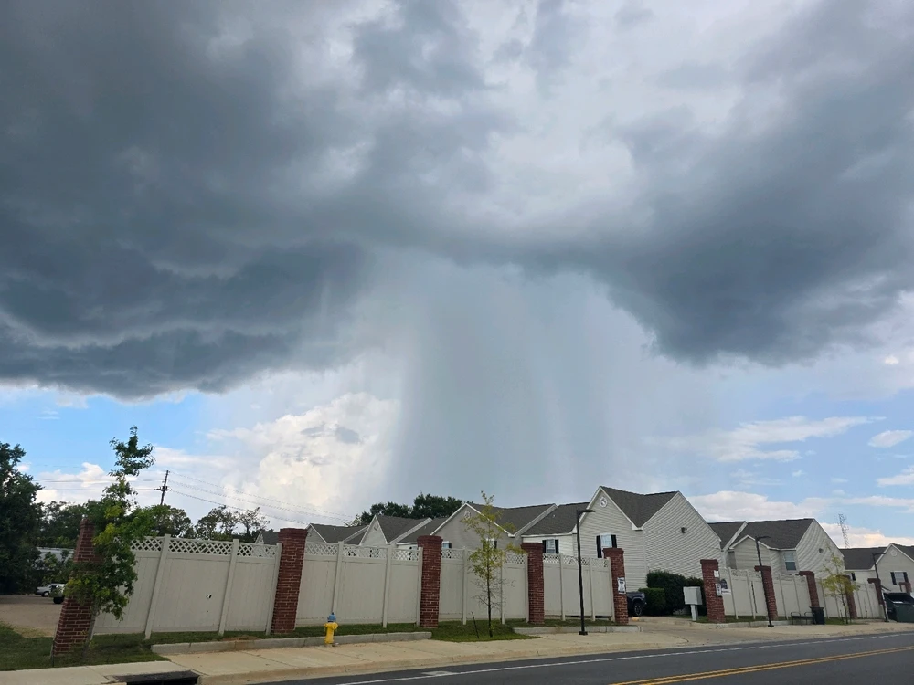 Image uploaded by Tylor