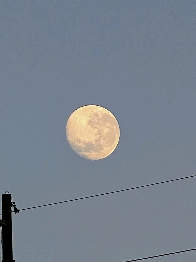 GIF enviado por Maikon Rodrigues