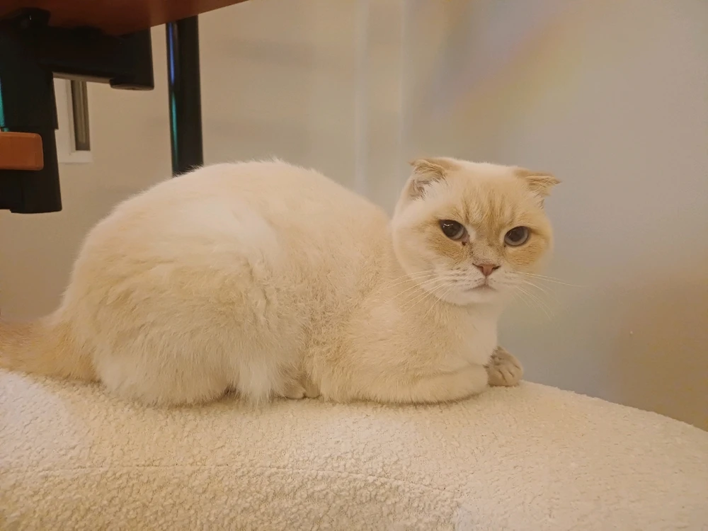 Ogün tarafından yüklenen GIF