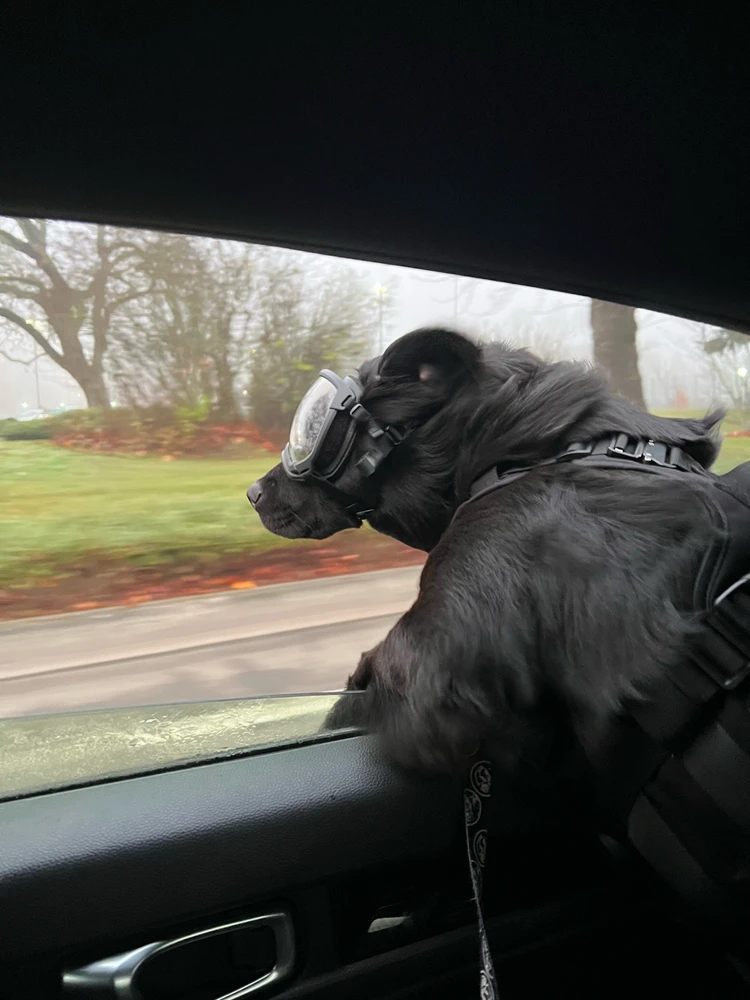 Image uploaded by Ron