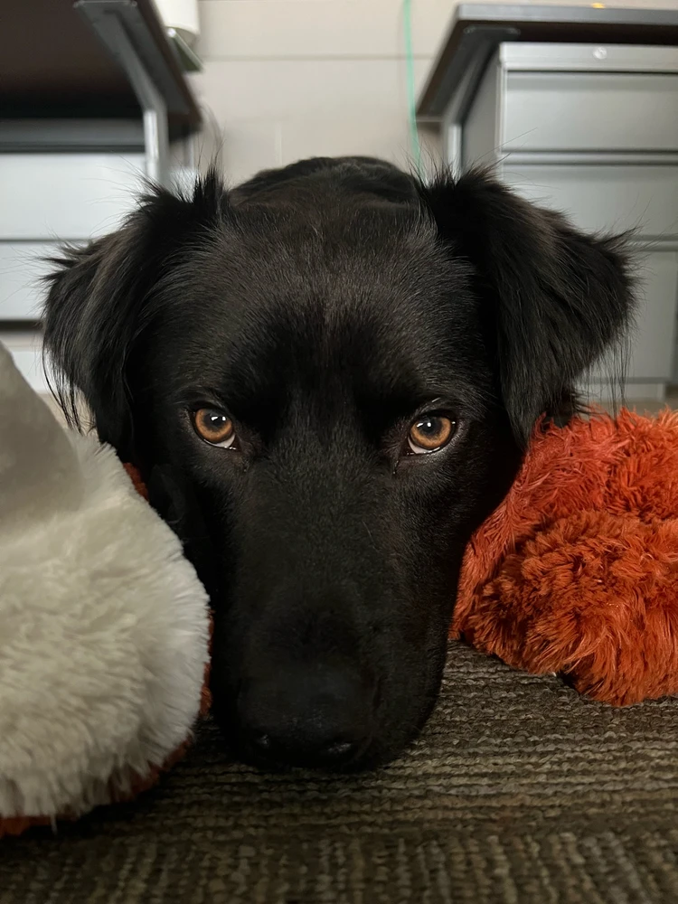 Image uploaded by Ron