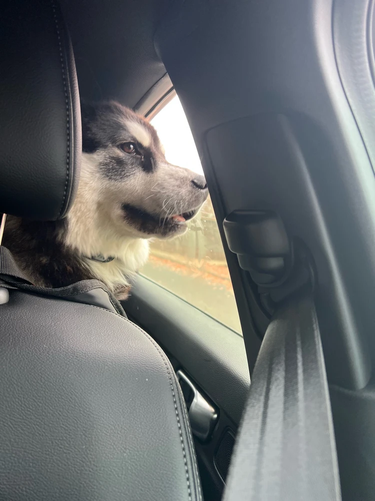 Image uploaded by Ron