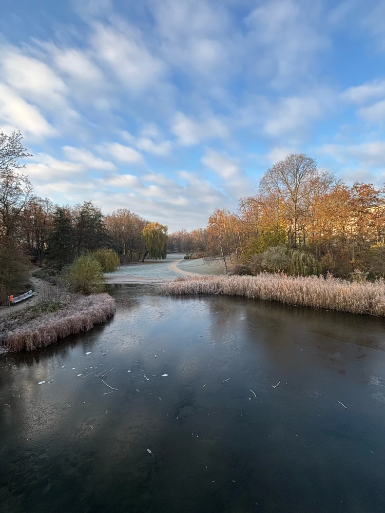 GIF caricata da Katarzyna