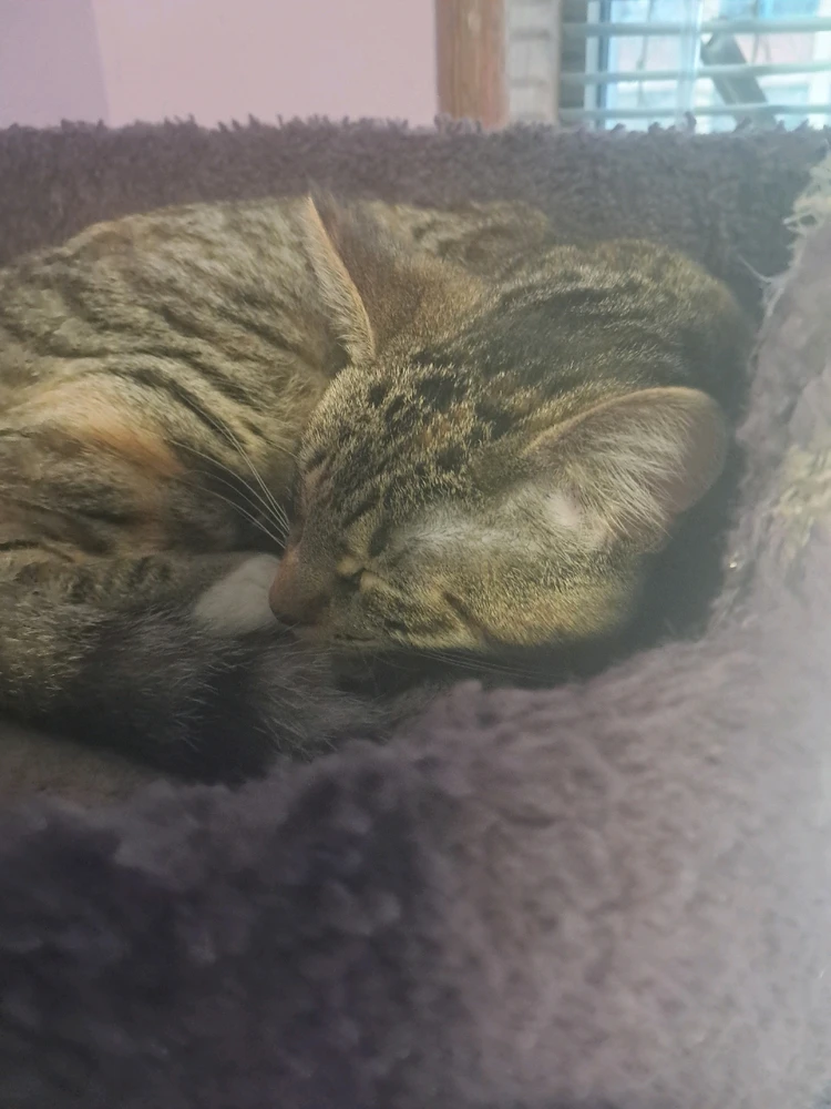 Image uploaded by Jordan