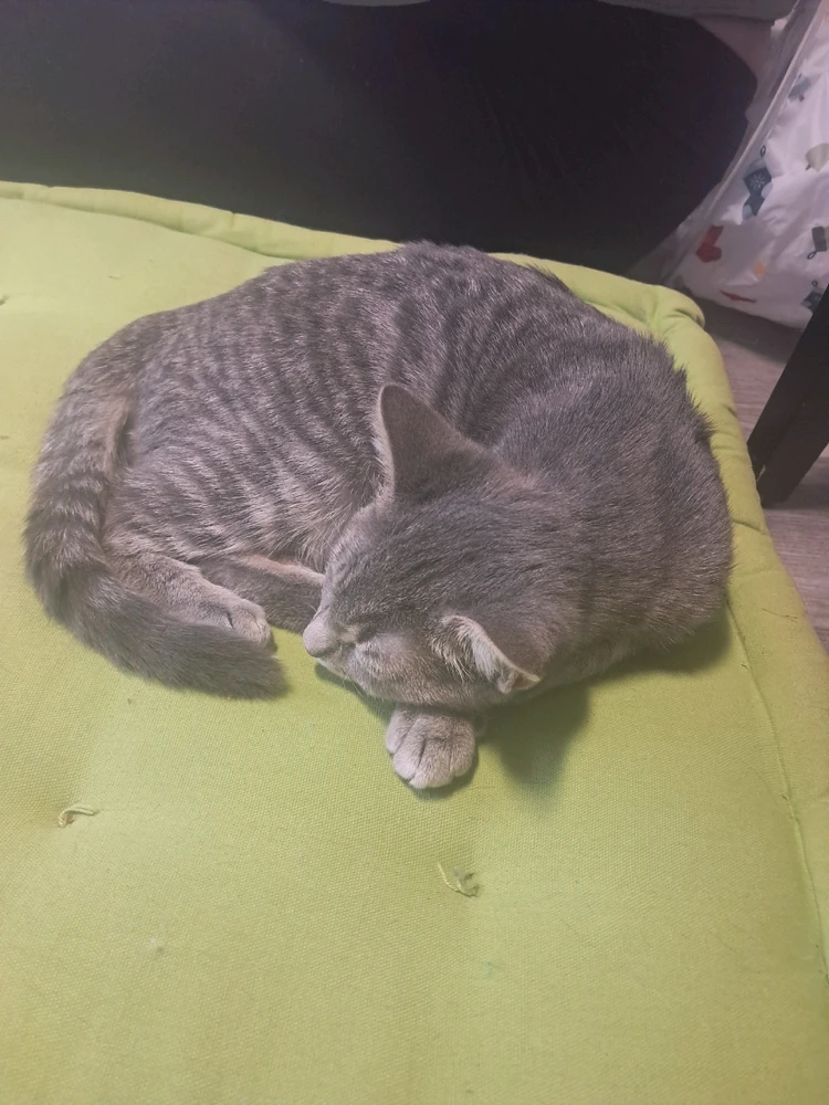 Image uploaded by Jordan