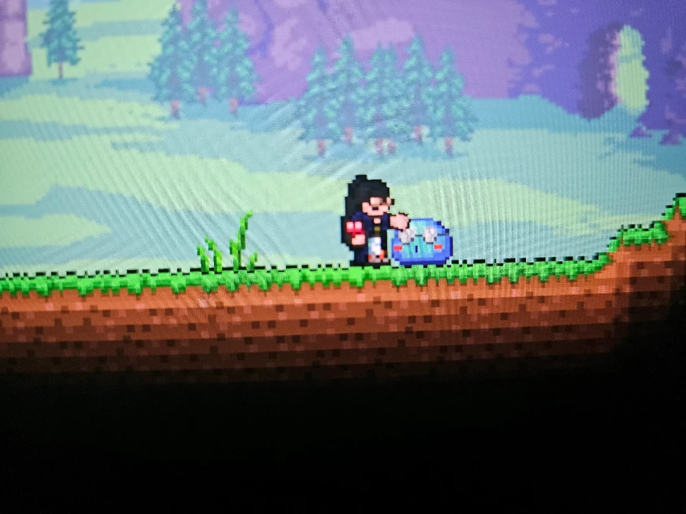 Terraria con los pibes