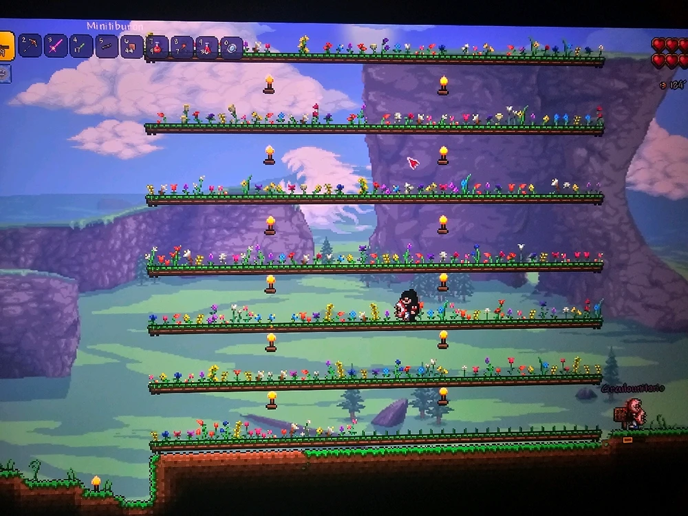 Terraria con los pibes