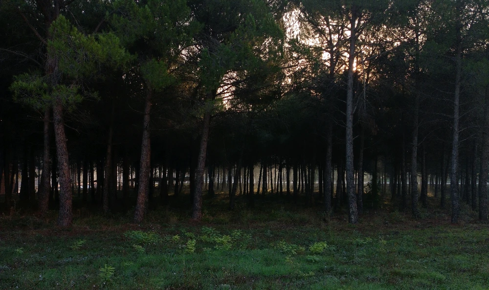 Batu tarafından yüklenen görsel