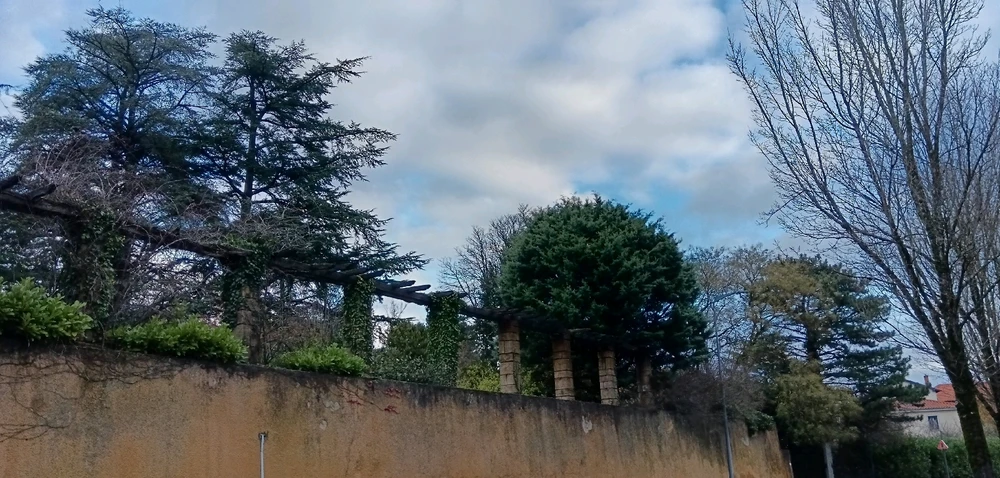 Image uploaded by Saffiya