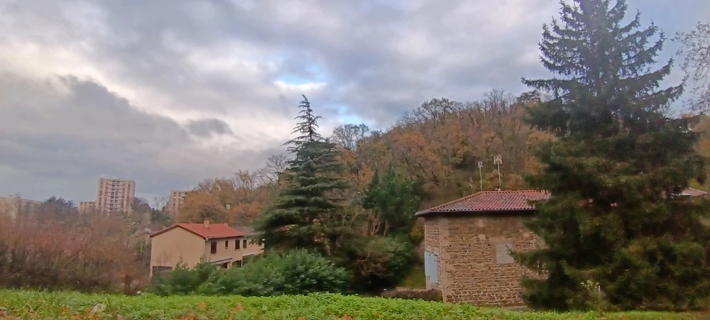 Image uploaded by Saffiya