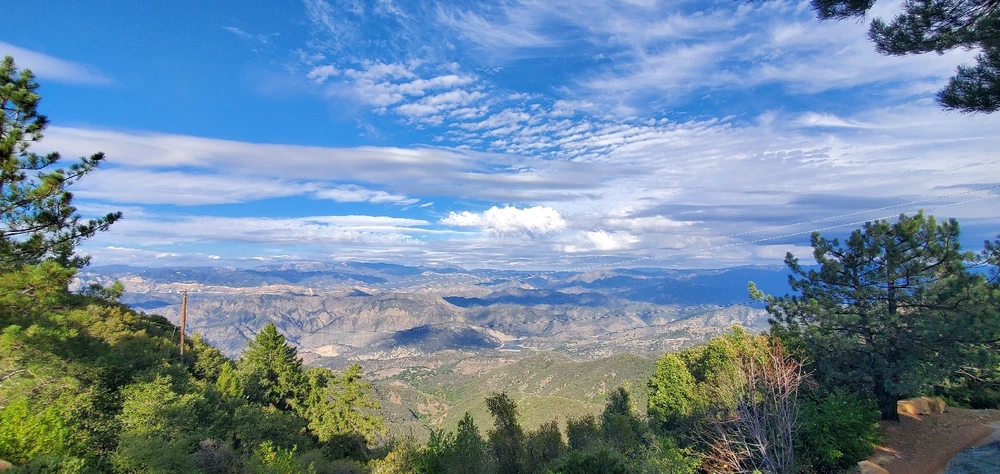 Image uploaded by Conlan