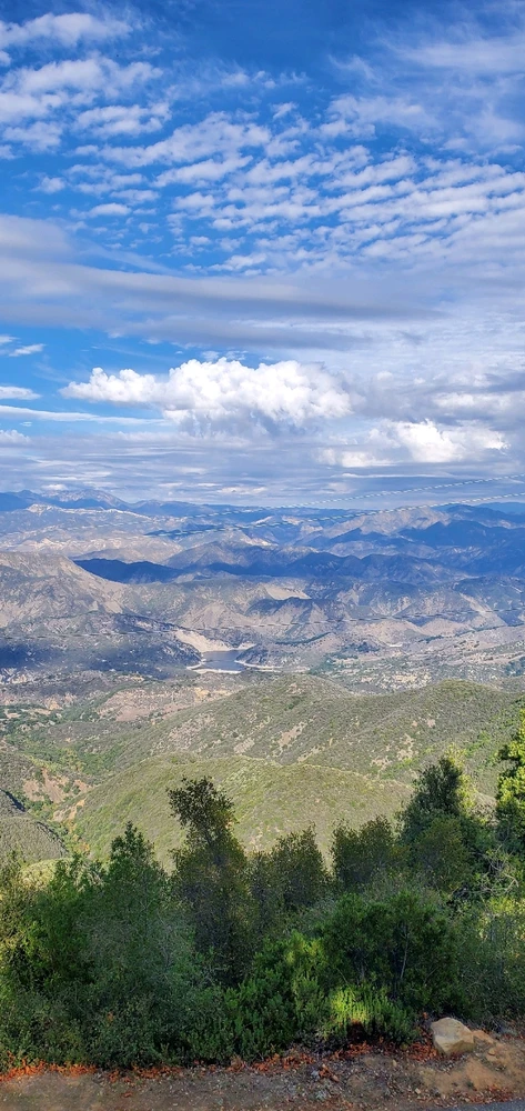 Image uploaded by Conlan