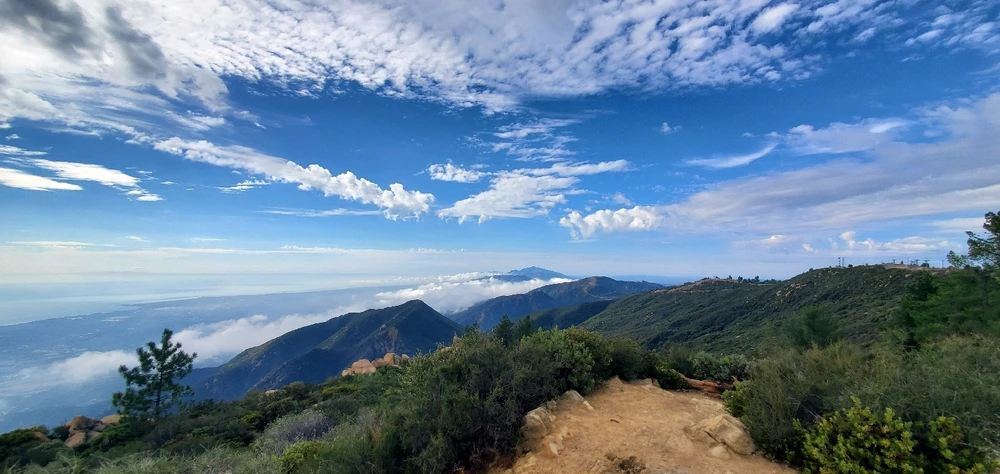 Image uploaded by Conlan