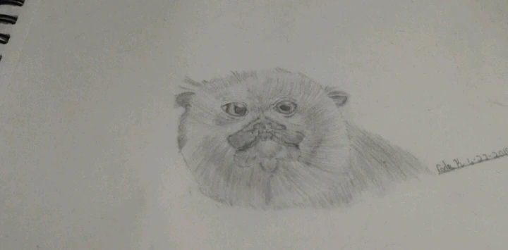 Gambar diunggah dening Cade