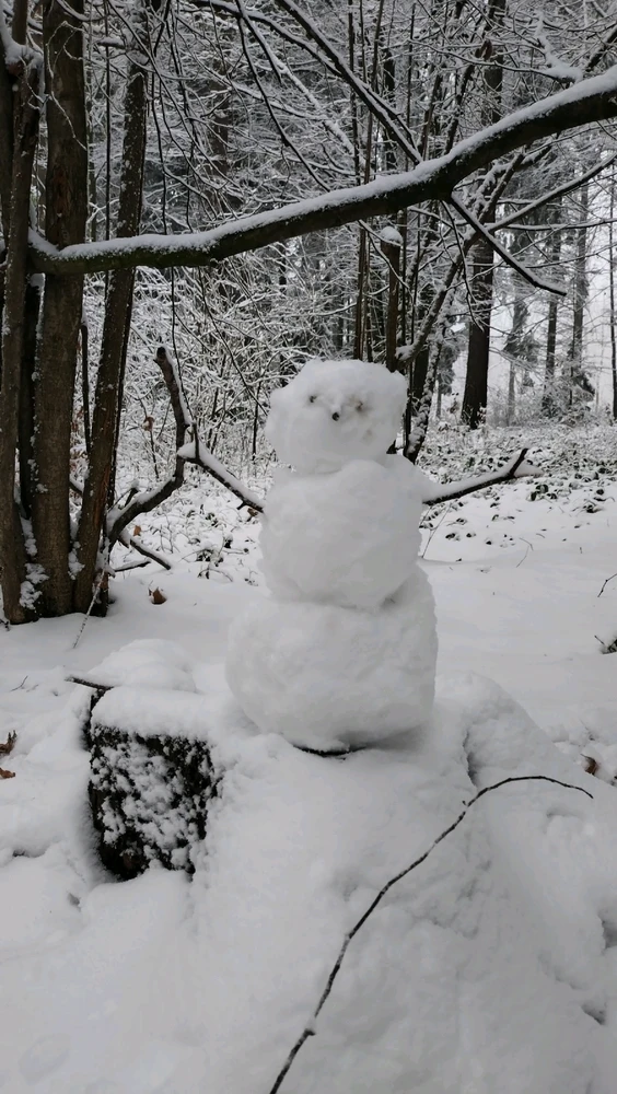 GIF nahrál Karel