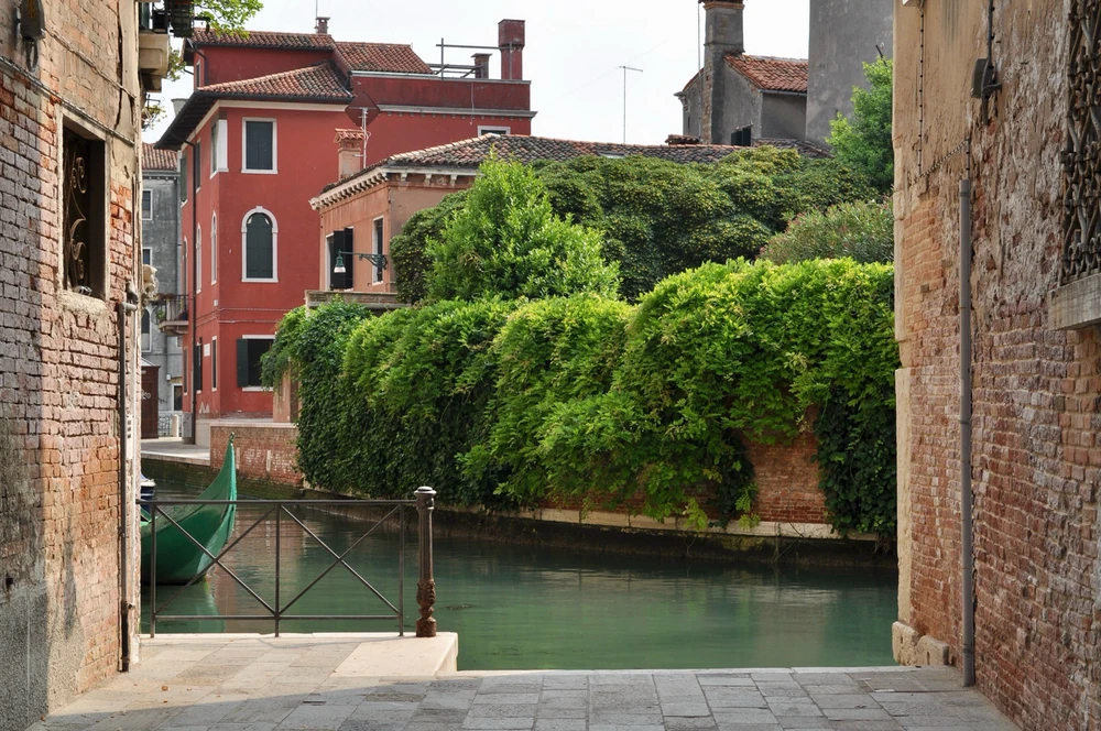 Gambar diunggah dening Artem