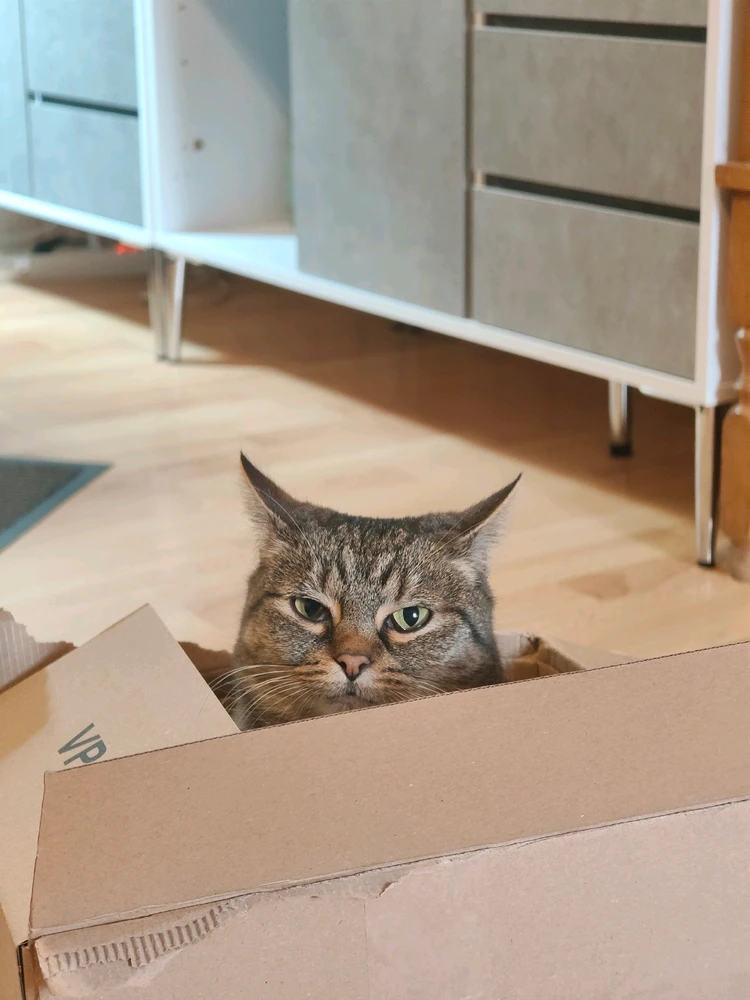 GIF hochgeladen von Adrian