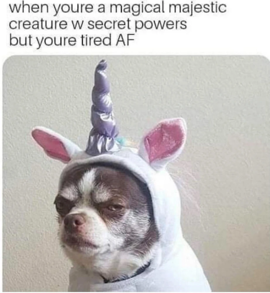 Obrázek nahrál Irónia