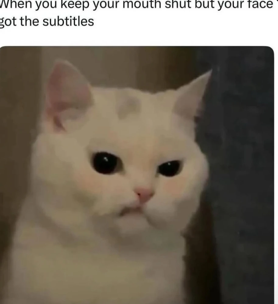 Obrázek nahrál Irónia