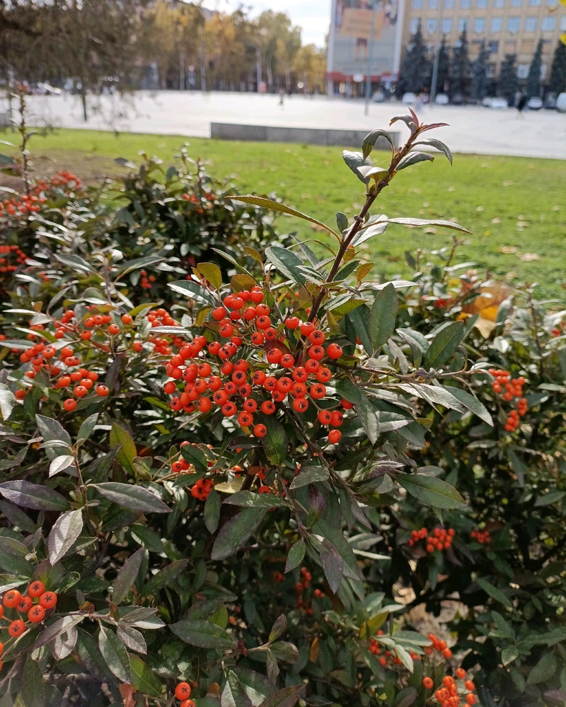 Зображення завантажив Ruslana